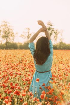 Rear view of romantic brunette young woman with hands up walking in poppy flower field in summer.