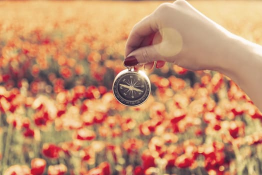 Point of view of female hand holding travel compass in front of red poppy flower meadow in summer outdoor.