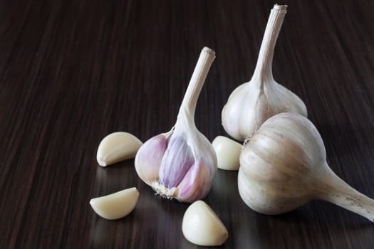 Garlic on a dark background