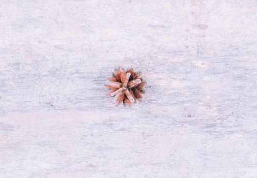 snow painted pine cone on rustic white wood table, Christmas decoration background.