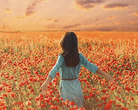 Unrecognizable young woman walking through poppy meadow and touching flowers, summer vacations.