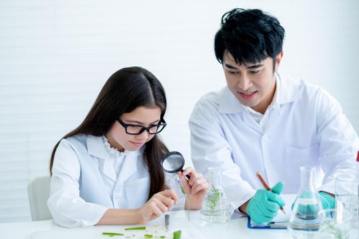 Young Caucasian scientist child girl look through a piece of flower and see more details with magnifying glass with guide and support from Asian teacher in laboratory or classroom.