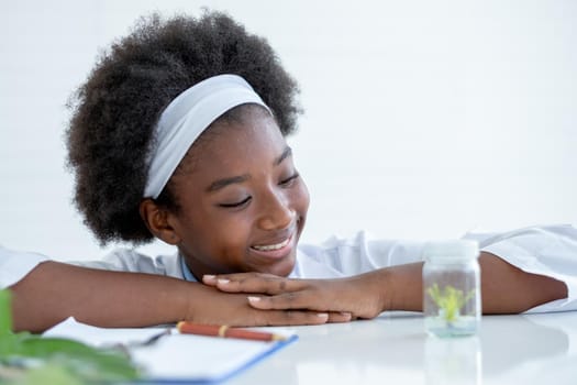 African American young girl sit and look to small glass jar containing piece of plant inside and also smile with happy emotion after finish experiment in laboratory or classroom.
