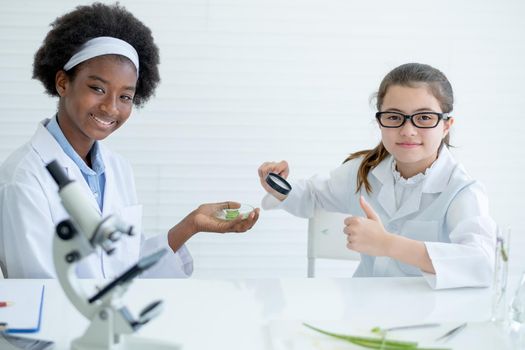 Young African American scientist girl hold glass plate with piece of plant tissues and her Caucasian friend hold magnifying glass and both look to camera and smile in laboratory or classroom.