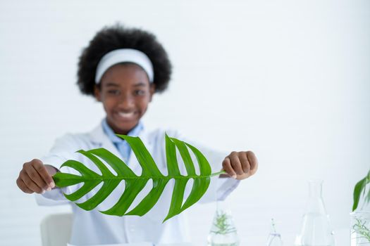 Main focus on green leaf is held by young American African scientist in laboratory or classroom.