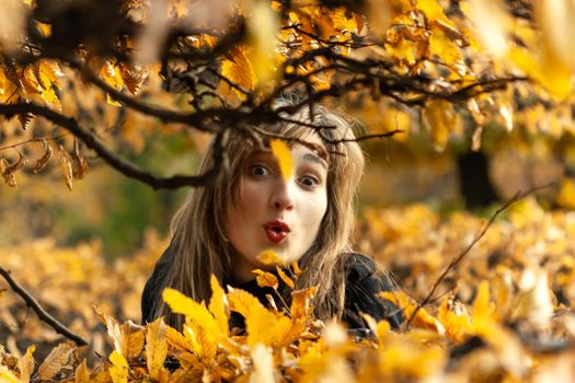 Smiling happy girl portrait with autumn leaves. Young woman among golden autumn leaves. Romantic moment in warm light. Park with yellow leaves and autumn atmosphere.