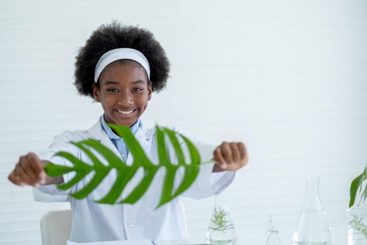 African American young scientist hold big green leaf and smile look to camera with science education in laboratory or classroom concept.