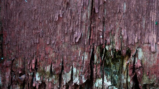 wood facade on a house which is rotten in the bottom needing replacement repair. falling apart.