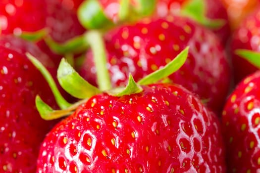 Red sweet fresh strawberries as texture. Strawberry pattern as background. Closeup