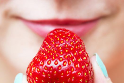 Strawberry in a female hand on a background of pink lips. Closeup.