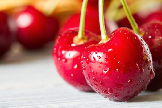 Fresh red ripe of cherries with water drops in the foreground and a bunch of cherries in the background. Selective focus