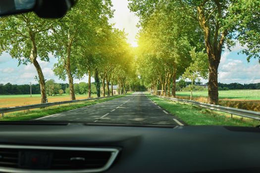 View of the road and forest through the windshield of the car Sunbeams