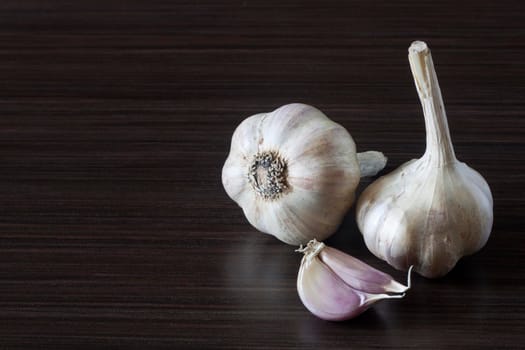 Garlic on a dark background
