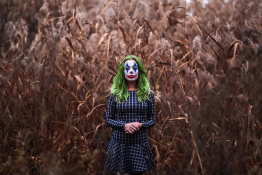 Portrait of a greenhaired girl with joker makeup on a orange leaves reeds background.