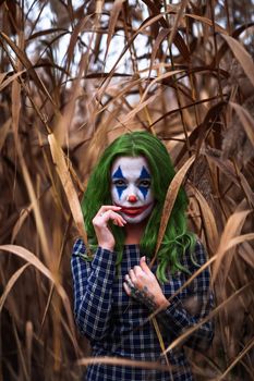 Portrait of a greenhaired girl with joker makeup on a orange leaves reeds background.