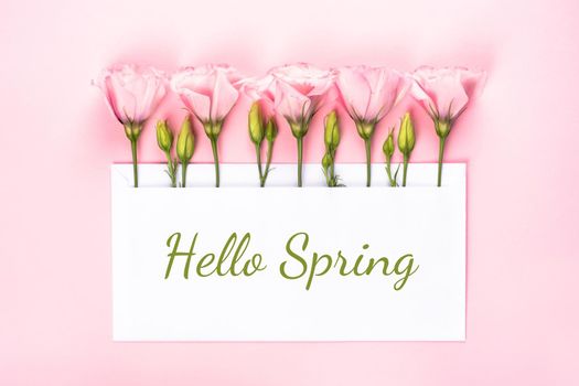 Hello spring banner. Pink Eustoma flowers arrangement with blank card on light pink background. Copy space. Top view