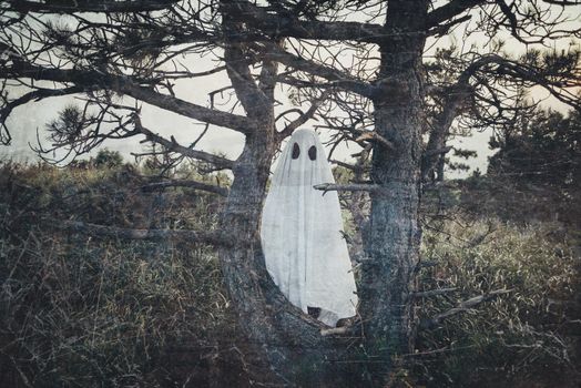 Man in costume of white sheet ghost with black eyes walking among old dry trees outdoor. Theme of Halloween and horror. Vintage image