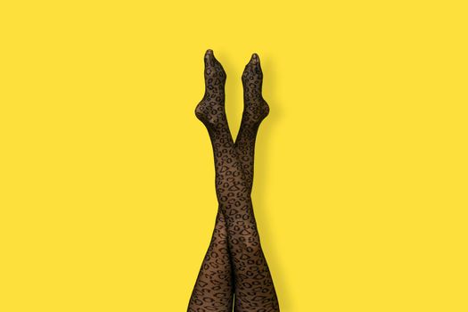 Long slender Legs of young woman in black tiger print tights on yellow background. Pop art banner