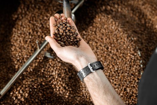 Coffee processing. Roastery, roasting machine and fresh beans