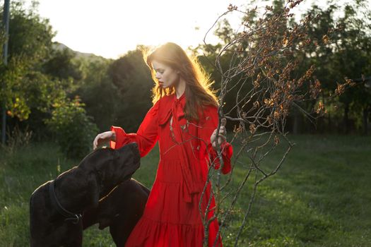 beautiful woman in a red dress outdoors with a black dog friendship. High quality photo