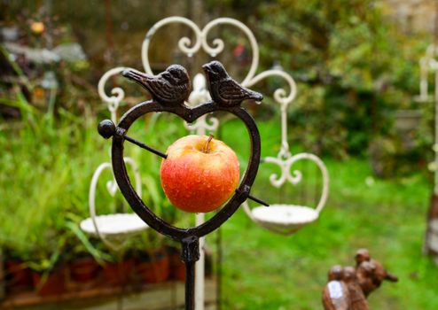 Metal bird feeder with apple in the shape of heart Spring