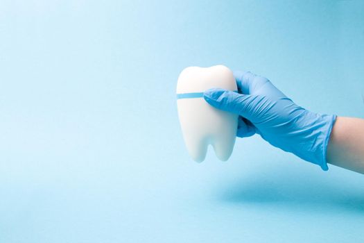 hand in a blue disposable rubber medical glove holds a tooth model on a blue background copy space, dentistry concept, treatment of toothache in children