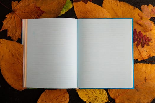 clean notebook on a dry auturm yellow leafs black background top view copy space