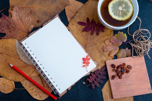 red pencil on an open notebook with readable sheets in a cage. objects on dry autumn leaves a cup with tea and a slice of lemon raisins on a notebook scetch book