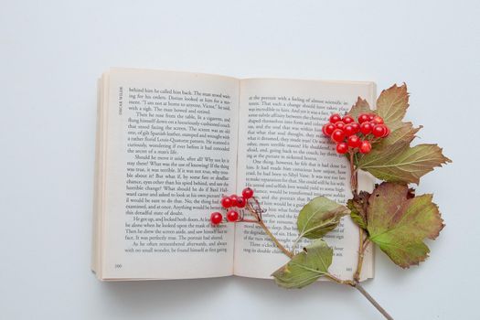 book in English I by the news of viburnum red berries autumn colors on a white background top view