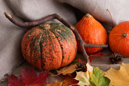 beautiful pumpkins, branch, autumn leaves on linen fabric, karski autumn, background for Thanksgiving