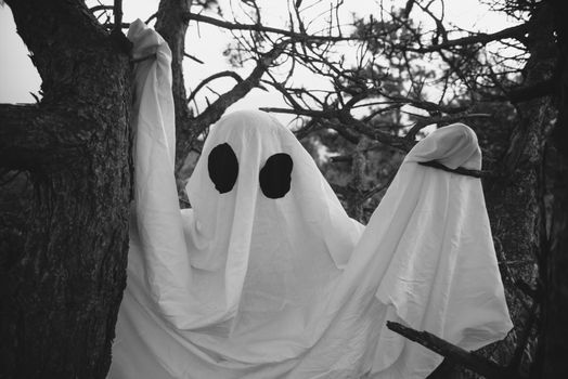 White ghost with black eyes walking in the woods, monochrome image. Theme of horror and Halloween