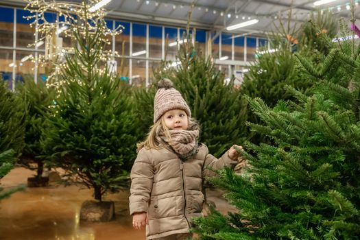 Small girl of three years old chooses a Christmas tree in the market.