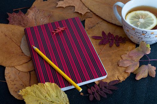 red striped notebook lies on dry autumn leaves a cup with tea with lemon on a cherng background autumn yellow orange pencil on a notebook