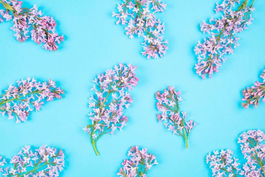 Violet Lilac flower and branch pattern on blue background. Top view, floral flat lay.