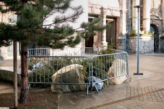 Used Christmas trees behind the fence