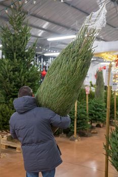 A man carries a Christmas tree packed in a plastic net