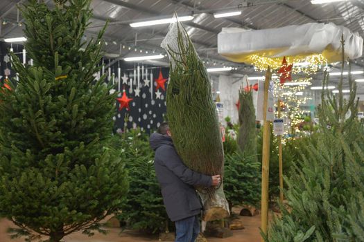 A man carries a Christmas tree packed in a plastic net