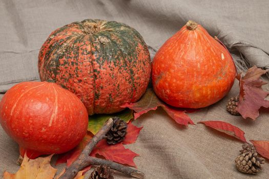 pumpkins, cones and auturm leaves on a linen, fabric texture,copy space, top view,cozy still life