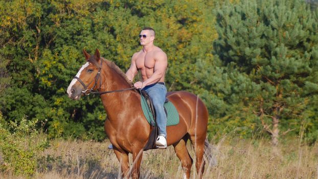 Handsome muscular man without shirt riding horse in natural bright sunlight.