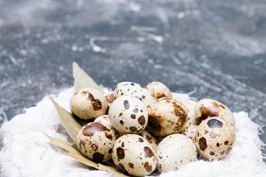 quail eggs in a white knitted black nest decorated with dry bay leaf background copy space. Easter background, close-up