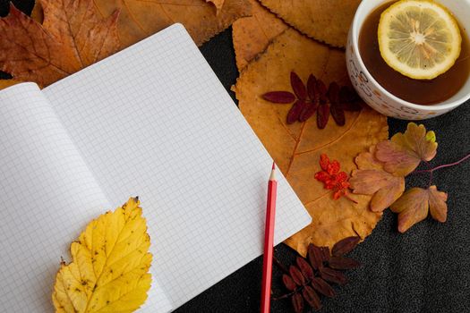 red pencil on an open notebook with readable sheets in a cage. objects on dry autumn leaves a cup with tea and a slice of lemon