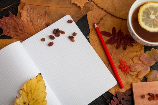 red pencil on an open notebook with readable sheets in a cage. objects on dry autumn leaves a cup with tea and a slice of lemon raisins on a notebook