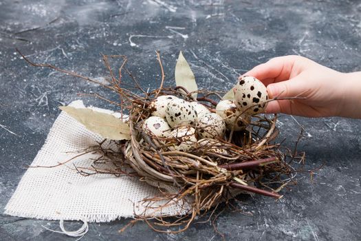 children's hand lays a quail egg in a decorative nest of branches on a dark background copy space, easter background