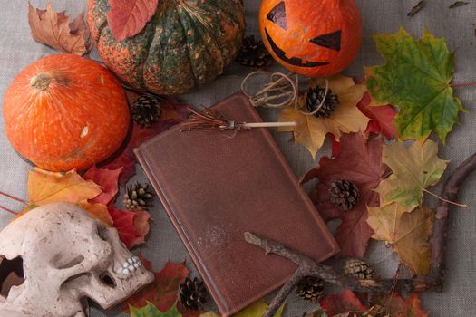 halloween flat lay still life composition background of skulls, pumpkins, autumn leaves, various holiday attributes, top view, copy space