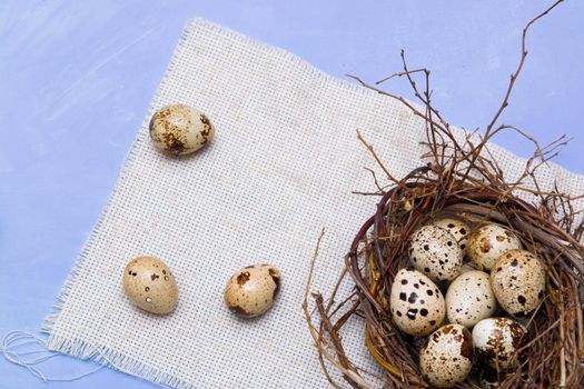 quail eggs in a nest of branches on a blue background, light fabric, Easter background, natural food, copy space, top view