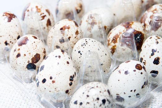quail eggs in a plastic transparent tray for eggs on a light background, linen fabric, copy space. Easter background, close-up