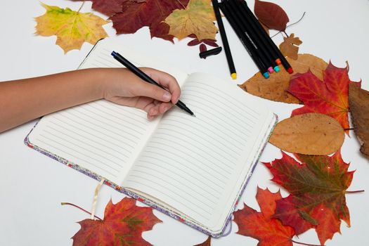 children's hand with a pen on a notebook writes on a white table, autumn leaves, back to school, copy place