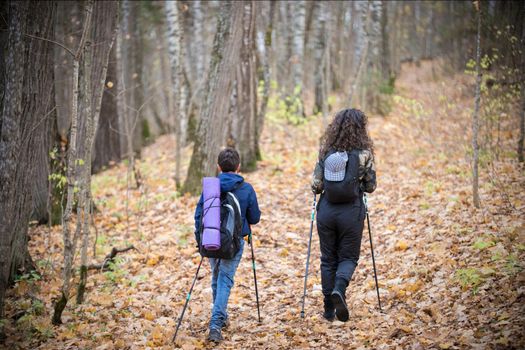 Nordic walking. Child boy and young woman in the forest. Back view. Fall season