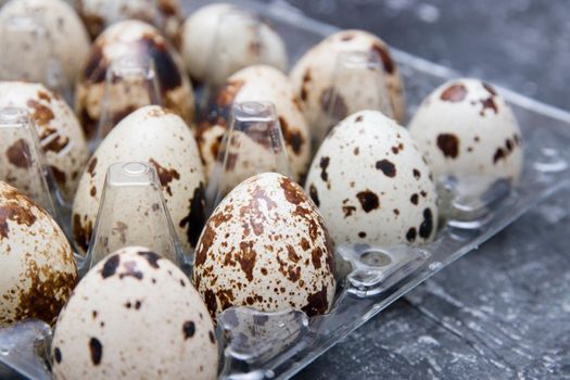 quail eggs in a plastic egg tray on a black background copy space. Easter background, close-up