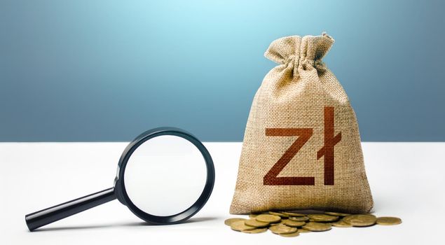Polish zloty money bag and magnifying glass. Financial audit and monitoring of suspicious capital and transactions. Attracting investments financing. Search for beneficiaries. Budget check.